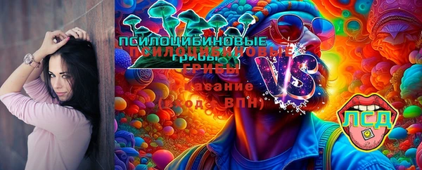 крисы Алексеевка