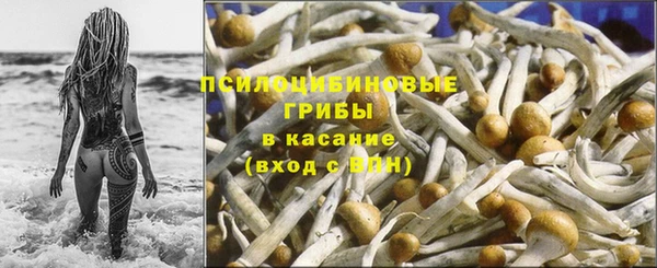 винт Алзамай